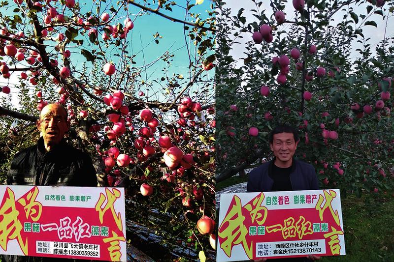 中国科学网 www.minimouse.com.cn