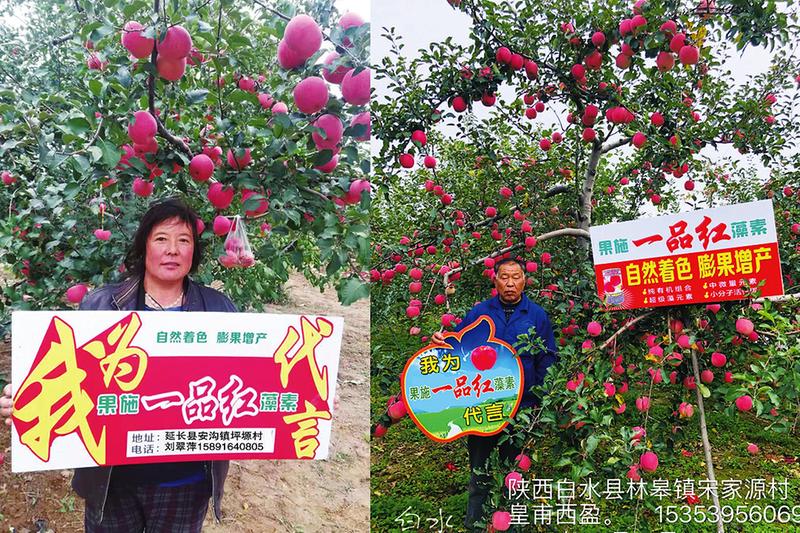 中国科学网 www.minimouse.com.cn