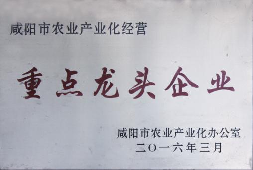 中国科学网 www.minimouse.com.cn