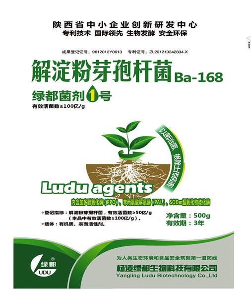中国科学网 www.minimouse.com.cn
