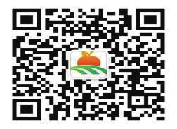 中国科学网 www.minimouse.com.cn
