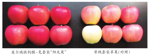 中国科学网 www.minimouse.com.cn