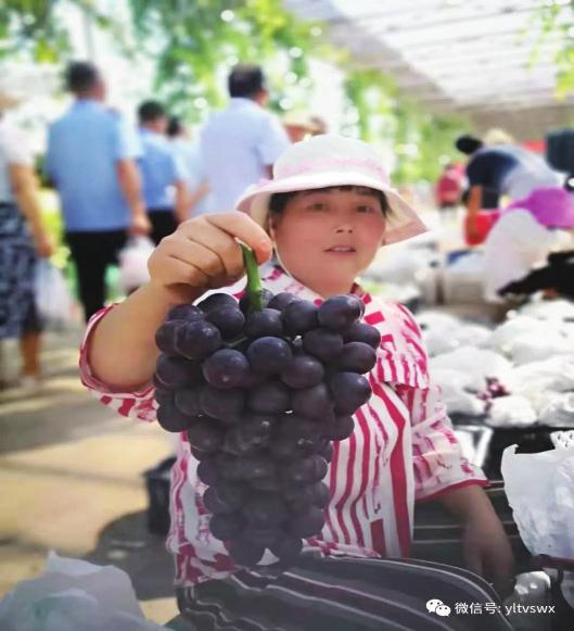 中国科学网 www.minimouse.com.cn