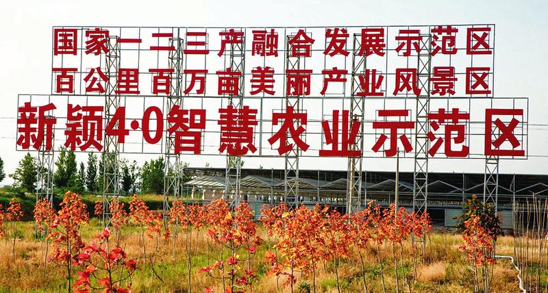 中国科学网 www.minimouse.com.cn