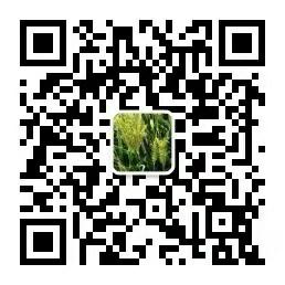 中国科学网 www.minimouse.com.cn
