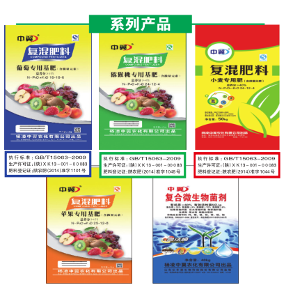 中国科学网 www.minimouse.com.cn