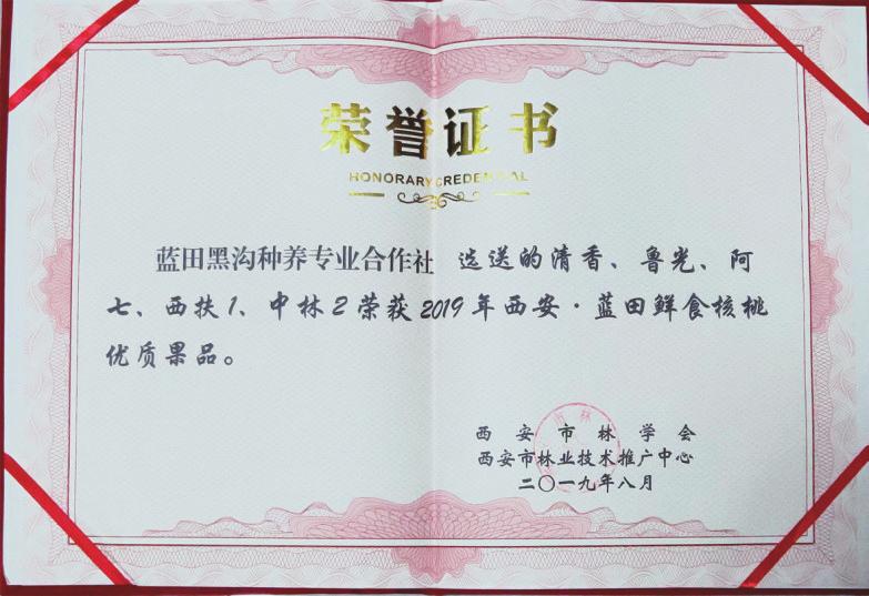 中国科学网 www.minimouse.com.cn