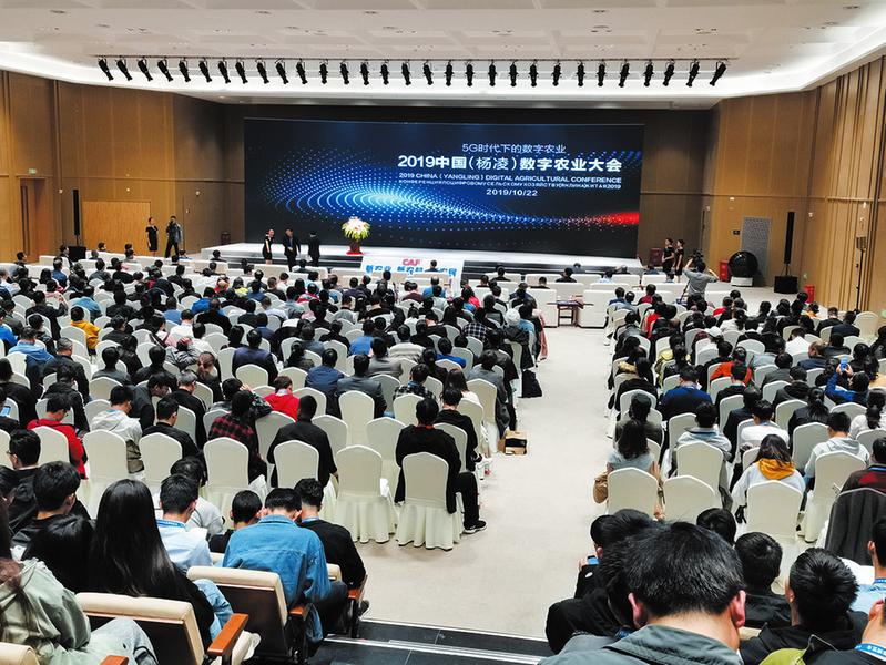 中国科学网 www.minimouse.com.cn
