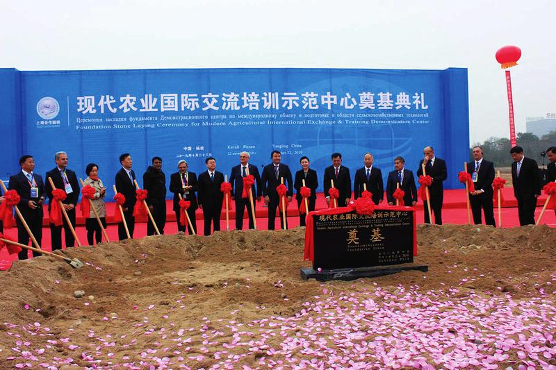 中国科学网 www.minimouse.com.cn