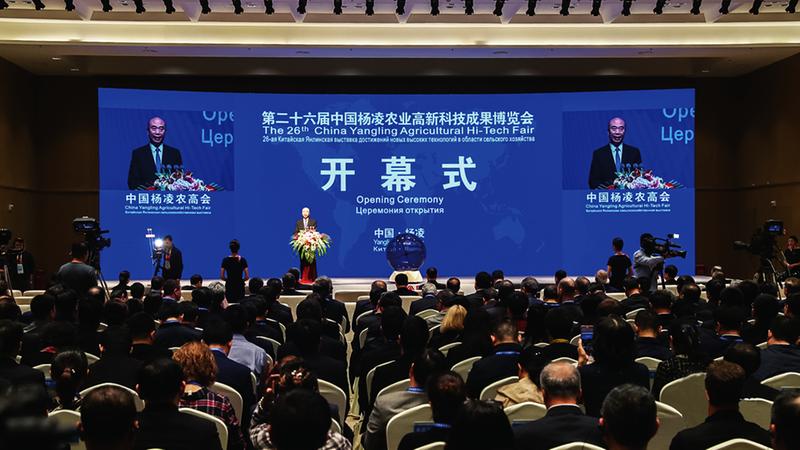 中国科学网 www.minimouse.com.cn