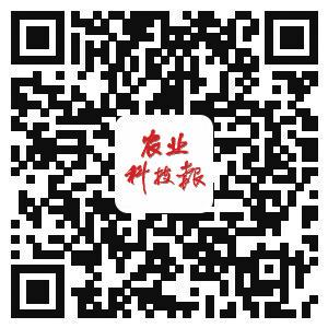 中国科学网 www.minimouse.com.cn