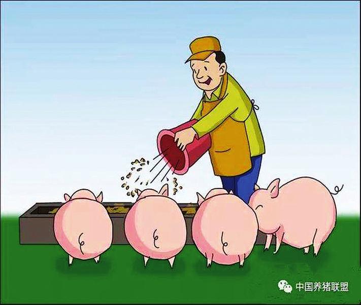 中国科学网 www.minimouse.com.cn