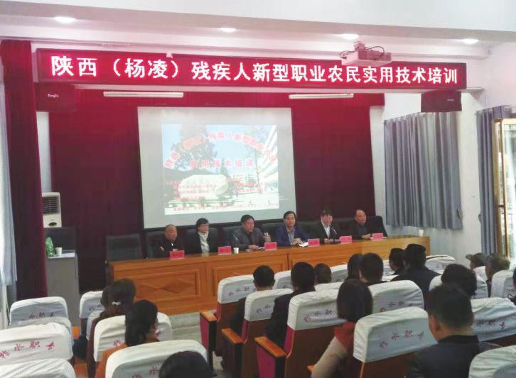 中国科学网 www.minimouse.com.cn