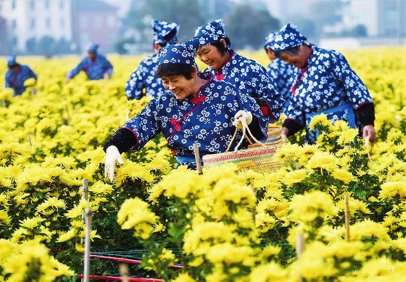 中国科学网 www.minimouse.com.cn